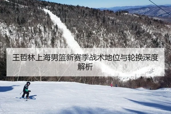 王哲林上海男篮新赛季战术地位与轮换深度解析