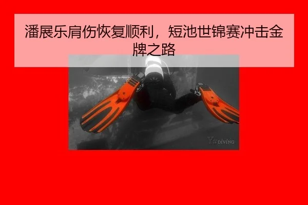 潘展乐肩伤恢复顺利，短池世锦赛冲击金牌之路